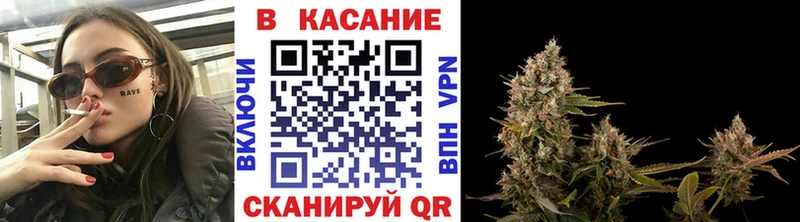 Купить наркотик Белгород Псилоцибиновые грибы  COCAIN  СК  блэк спрут онион  Амфетамин 