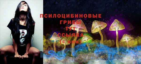 кристаллы Алексин