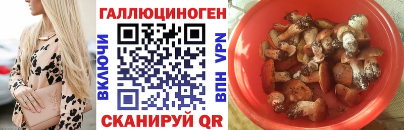 Галлюциногенные грибы Magic Shrooms Белгород